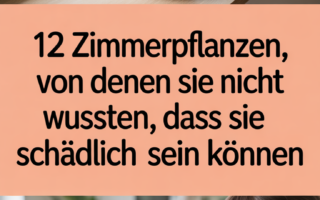 12 Zimmerpflanzen, von denen Sie nicht wussten, dass sie schädlich sein können