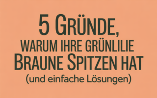5 Gründe, warum Ihre Grünlilie braune Spitzen hat (und einfache Lösungen)