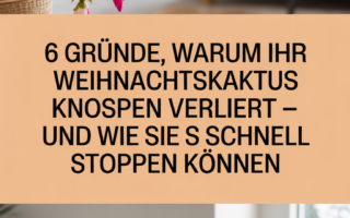 6 Gründe, warum Ihr Weihnachtskaktus Knospen verliert – und wie Sie es schnell stoppen können