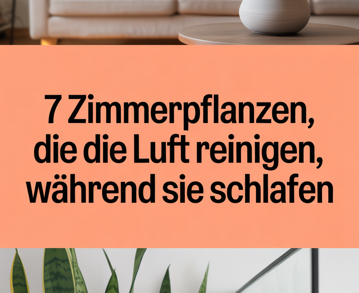 7 Zimmerpflanzen, die die Luft reinigen, während Sie schlafen