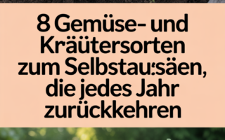 8 Gemüse- und Kräutersorten zum Selbstaussäen, die jedes Jahr zurückkehren