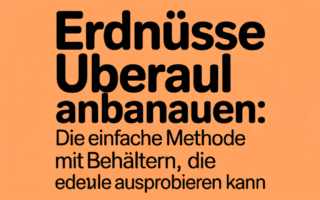 Erdnüsse Überall Anbauen: Die Einfache Methode Mit Behältern, Die Jeder Ausprobieren Kann