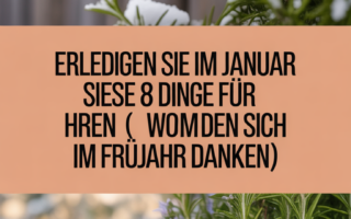 Erledigen Sie im Januar diese 8 Dinge für Ihren Rosmarin (Sie werden sich im Frühjahr danken)