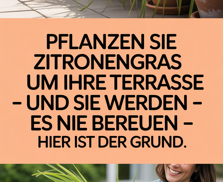 Pflanzen Sie Zitronengras um Ihre Terrasse – und Sie werden es nie bereuen – hier ist der Grund.