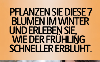 Pflanzen Sie diese 7 Blumen im Winter und erleben Sie, wie der Frühling schneller erblüht