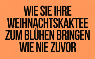 Wie Sie Ihre Weihnachtskaktee zum Blühen bringen wie nie zuvor