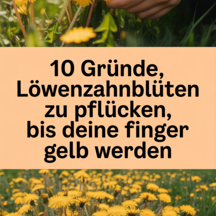10 Gründe, Löwenzahnblüten zu pflücken, bis deine Finger gelb werden