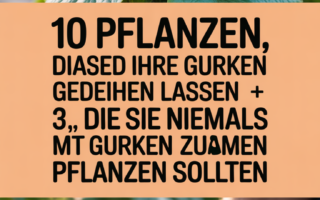 10 Pflanzen, die Ihre Gurken gedeihen lassen + 3, die Sie niemals mit Gurken zusammen pflanzen sollten