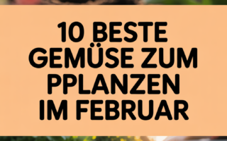 10 beste Gemüse zum Pflanzen im Februar