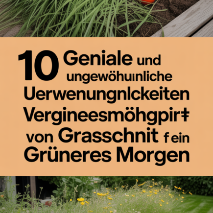10 geniale und ungewöhnliche Verwendungsmöglichkeiten von Grasschnitt für ein grüneres Morgen