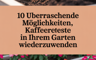 10 überraschende Möglichkeiten, Kaffeereste in Ihrem Garten wiederzuverwenden