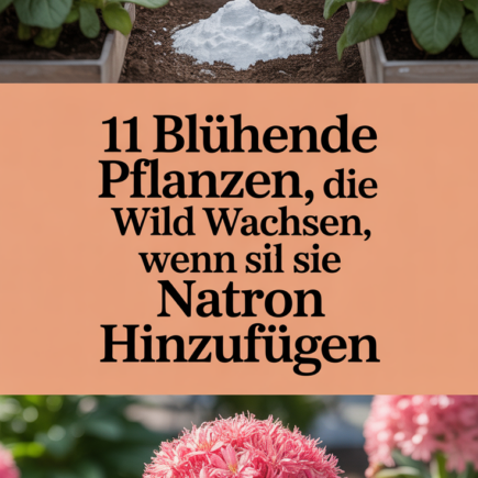 11 Blühende Pflanzen, die wild wachsen, wenn Sie Natron hinzufügen
