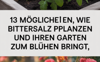 13 Möglichkeiten, wie Bittersalz Pflanzen und Ihren Garten zum Blühen bringt