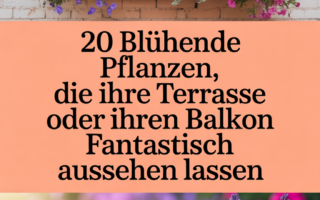 20 Blühende Pflanzen, die Ihre Terrasse oder Ihren Balkon fantastisch aussehen lassen