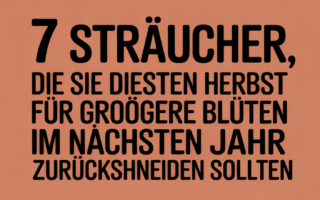 7 Sträucher, die Sie diesen Herbst für größere Blüten im nächsten Jahr zurückschneiden sollten