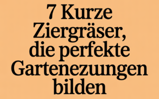 7 kurze Ziergräser, die perfekte Gartenbegrenzungen bilden