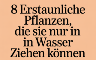 8 erstaunliche Pflanzen, die Sie nur in Wasser ziehen können