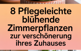 8 pflegeleichte blühende Zimmerpflanzen zur Verschönerung Ihres Zuhauses