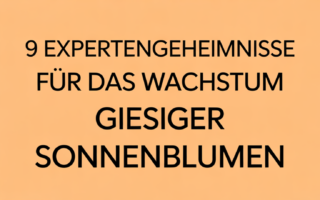 9 Expertengeheimnisse für das Wachstum riesiger Sonnenblumen