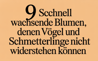 9 schnell wachsende Blumen, denen Vögel und Schmetterlinge nicht widerstehen können