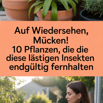 Auf Wiedersehen, Mücken! 10 Pflanzen, die diese lästigen Insekten endgültig fernhalten