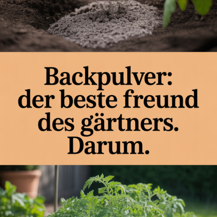Backpulver: Der beste Freund des Gärtners. Darum.