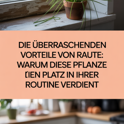 Die überraschenden Vorteile von Raute: Warum diese Pflanze einen Platz in Ihrer Routine verdient
