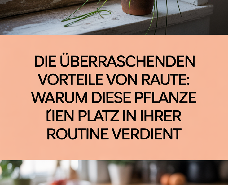 Die überraschenden Vorteile von Raute: Warum diese Pflanze einen Platz in Ihrer Routine verdient