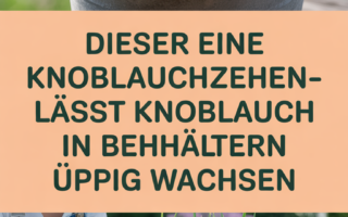 Dieser eine Knoblauchzehen-Trick lässt Knoblauch in Behältern üppig wachsen