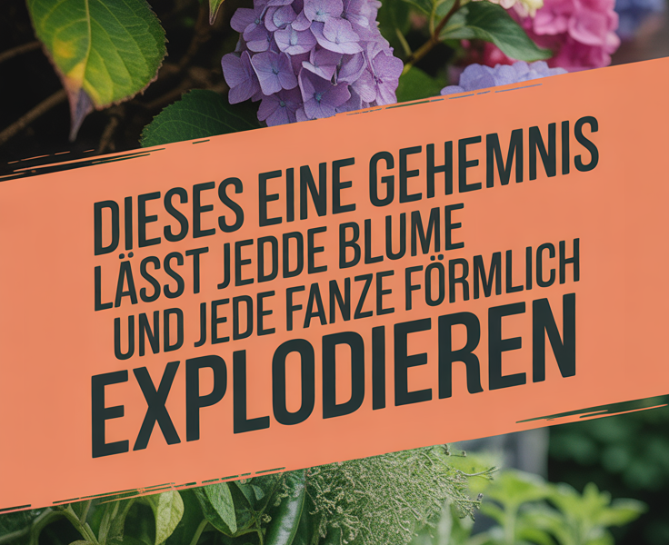 Dieses eine Geheimnis lässt jede Blume und jede Pflanze förmlich explodieren