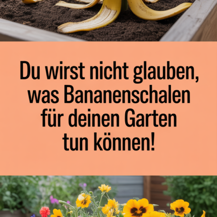 Du wirst nicht glauben, was Bananenschalen für deinen Garten tun können!