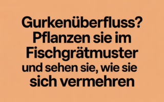 Gurkenüberfluss? Pflanzen Sie im Fischgrätmuster und sehen Sie, wie sie sich vermehren