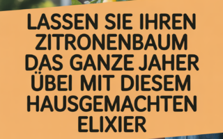 Lassen Sie Ihren Zitronenbaum das ganze Jahr über blühen mit diesem hausgemachten Elixier