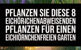 Pflanzen Sie diese 8 eichhörnchenabweisenden Pflanzen für einen eichhörnchenfreien Garten