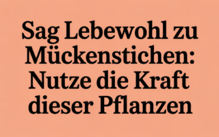Sag Lebewohl zu Mückenstichen: Nutze die Kraft dieser Pflanzen