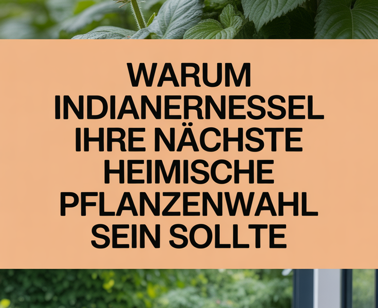 Warum Indianernessel Ihre nächste heimische Pflanzenwahl sein sollte