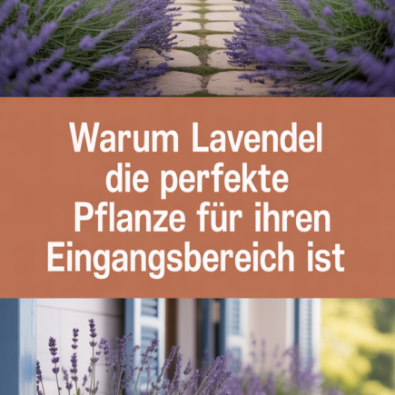 Warum Lavendel die perfekte Pflanze für Ihren Eingangsbereich ist