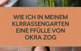 Wie ich in meinem kleinen Terrassengarten eine Fülle von Okra zog