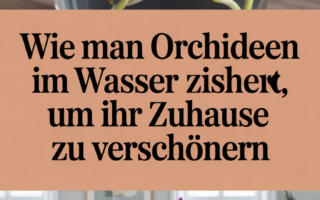 Wie man Orchideen im Wasser zieht, um Ihr Zuhause zu verschönern